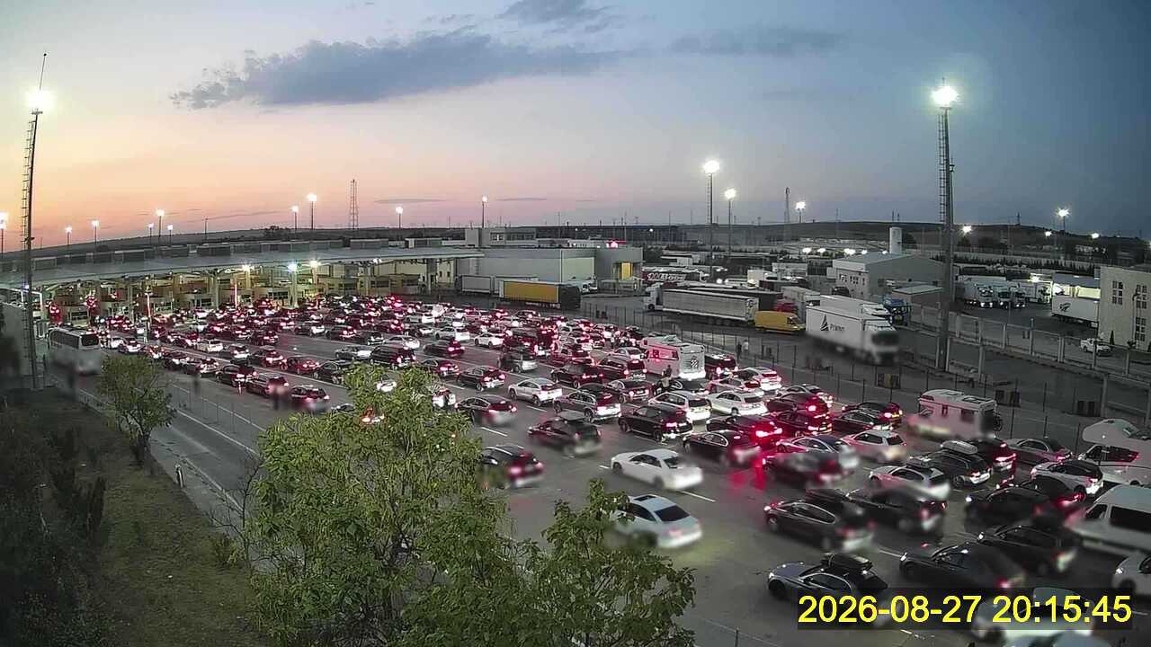 Live Camera